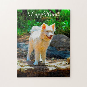 Lapphund-hond. Legpuzzel
