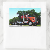 Lapp's A Model Stickers (Tas)