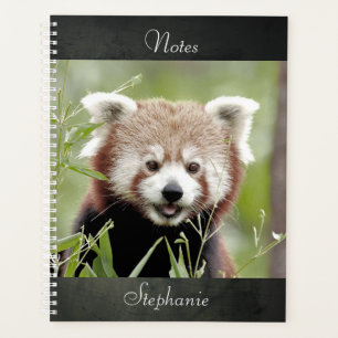 Laptop Foto rode panda, dieren 01. notitieboek