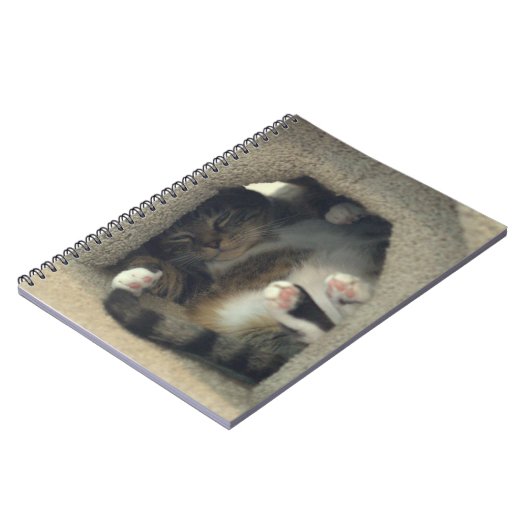 Laptop - Nap alsof je een kat bent! Notitieboek (Linkerzijde)