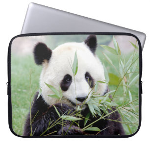 laptophoes Foto reusachtig panda, dieren. Laptop Sleeve