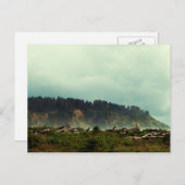 LaPush, Washington Briefkaart (Voorkant / Achterkant)