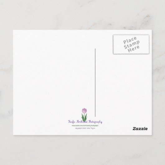 LaPush, Washington Briefkaart (Achterkant)