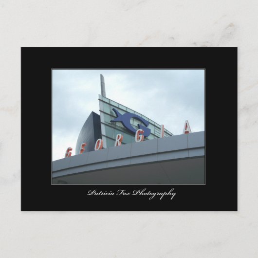 L'Aquarium de Géorgie - Carte postale (Devant)