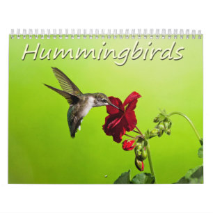 Lara Ellis Fotografie Hummingvogels Kalender