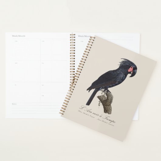 L'Ara Noir a Trompe / Palm Cockatoo (Devant avec enveloppe)