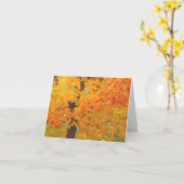 L'arbre d'érable de chute fraye un chemin la carte (Fleur jaune)