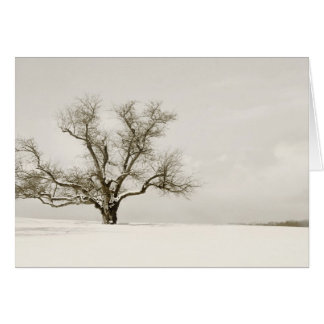 L'arbre d'hiver - blanc