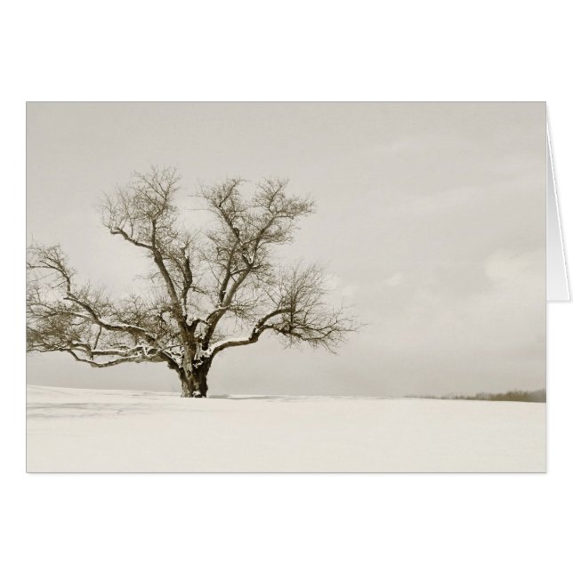 L'arbre d'hiver - blanc (Devant horizontal)
