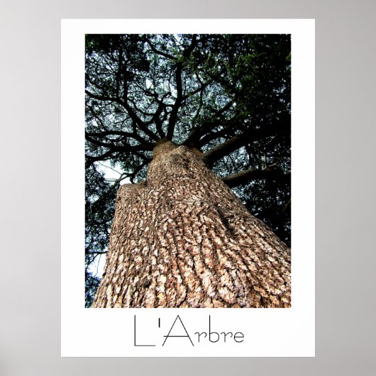 L'Arbre Poster (Voorkant)