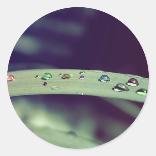 L'arc-en-ciel laisse tomber des autocollants (Devant)