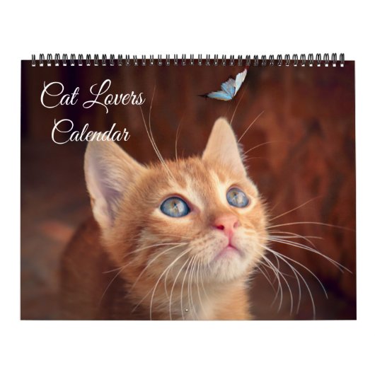 Large Size Cat Lovers Calendar Kalender (Hoes)