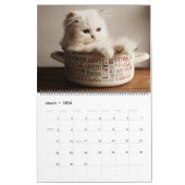 Large Size Kittens Calendar Kalender (Mar 2026)