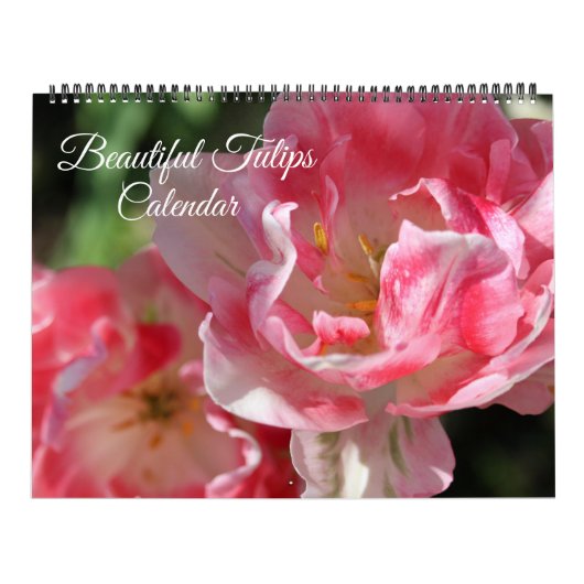 Large Size Tulips Calendar Kalender (Hoes)