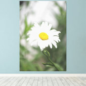 Large White Daisy Canvas Afdruk (Insitu (Houten vloer))