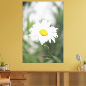 Large White Daisy Canvas Afdruk (Insitu (Woonkamer))