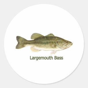 Largemouth Bass Logo (getiteld) Ronde Sticker