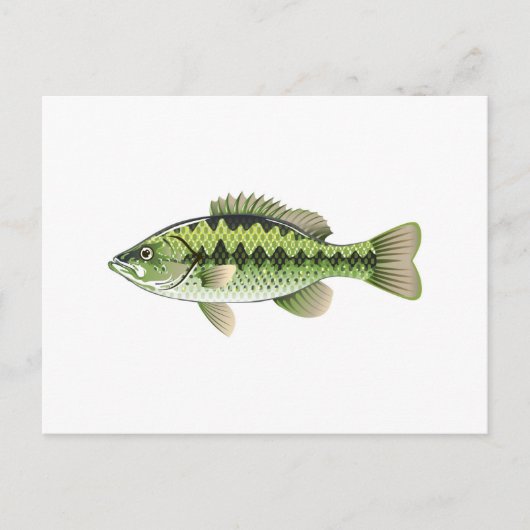 Largemouth Spotted Green American Bass Vector Briefkaart (Voorkant)