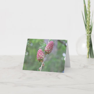 Larikskaart (Larix) Feestdagen Kaart