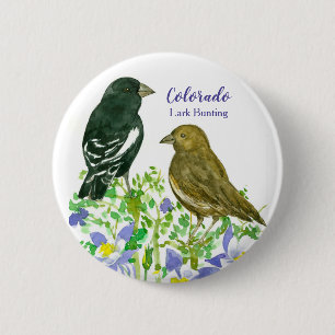 Lark Bunting Sparrow Birds Colorado Columbine Ronde Button 5,7 Cm