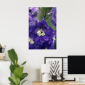 Larkspur, (Delphinium Hybride) bloemen Poster (Thuiskantoor)