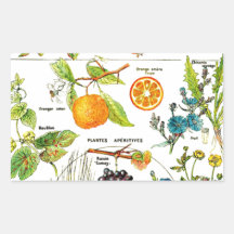 Larousse Fruit Sinaasappel Peer Druif Tuin Natuur 