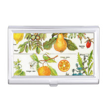 Larousse Fruit Sinaasappel Peer Druif Tuin Natuur