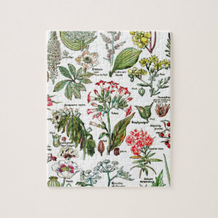 Larousse Planten, fruit, bloementuin Natuur kunst Legpuzzel