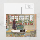 Larsson: Bloemen op het raam Briefkaart (Voorkant / Achterkant)