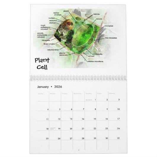 L'art du calendrier de la Science (Jan 2026)
