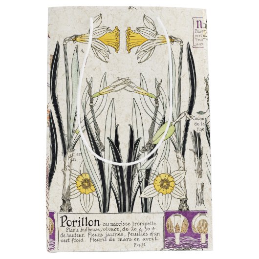 L'art français Nouveau fleurit le sac de cadeau de (Devant)