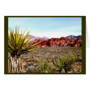 Las Vegas Tours : Red Rock Canyon