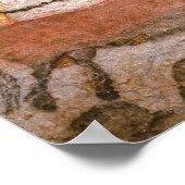 Lascaux Cave Poster (Hoek)