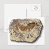Lascaux Horse stone Briefkaart (Voorkant / Achterkant)