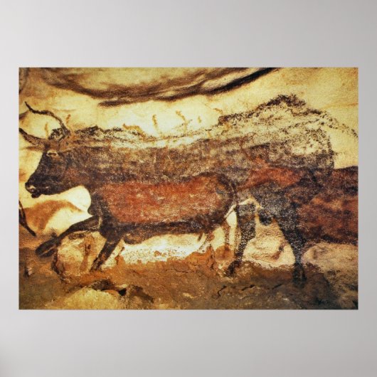 Lascaux prehistorische grotschildering poster (Voorkant)