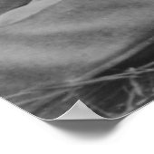 Lascieus jong mannelijk koppel dat homoseksuele in poster (Hoek)