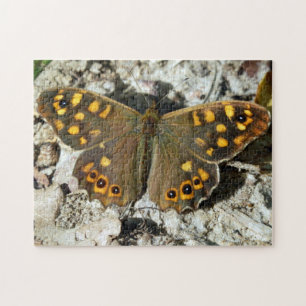 Lasiommata Westwood Butterfly Foto Puzzle Legpuzzel