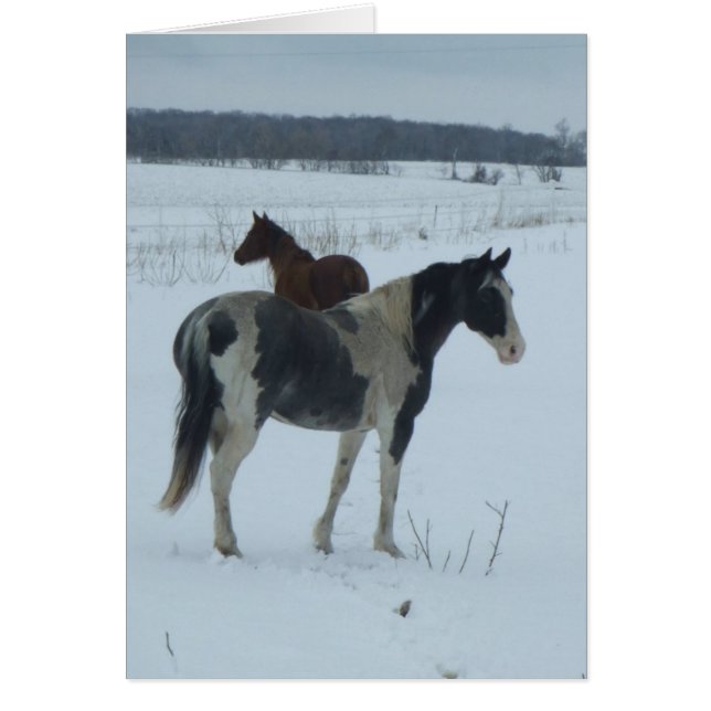 L'Aspiration Pour Le Printemps (Devant)