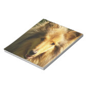 Lassie Collie Notitieblok (Gedraaid)