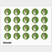 Lassie irlandaise avec Stickers Shamrock (Feuille)