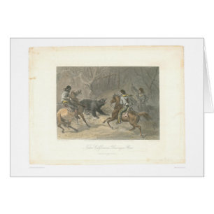 Lassoing un ours (1178A)