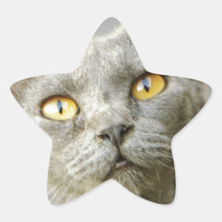 Last Hope is Jean Gray Ster Sticker