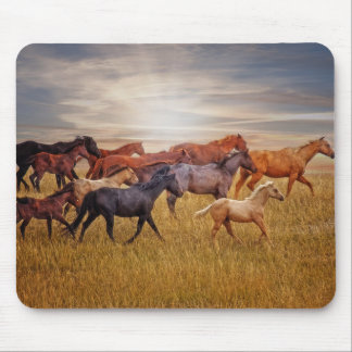 Last Light's run Mousepad Muismat