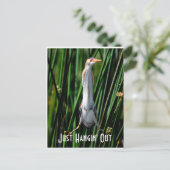 Lastbittern, gewoon Hangin uit. Briefkaart (Staand voorkant)