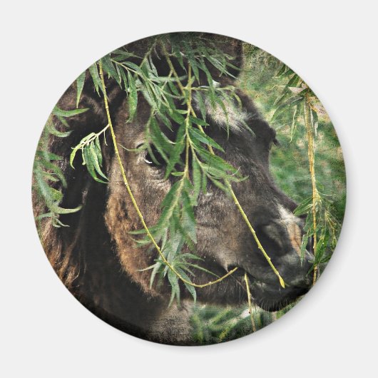 Lastig zijn magneet (Voorkant)