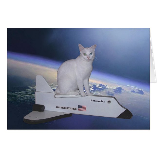 L'astronaute Chat (Esprit) sur navette spatiale (Devant horizontal)