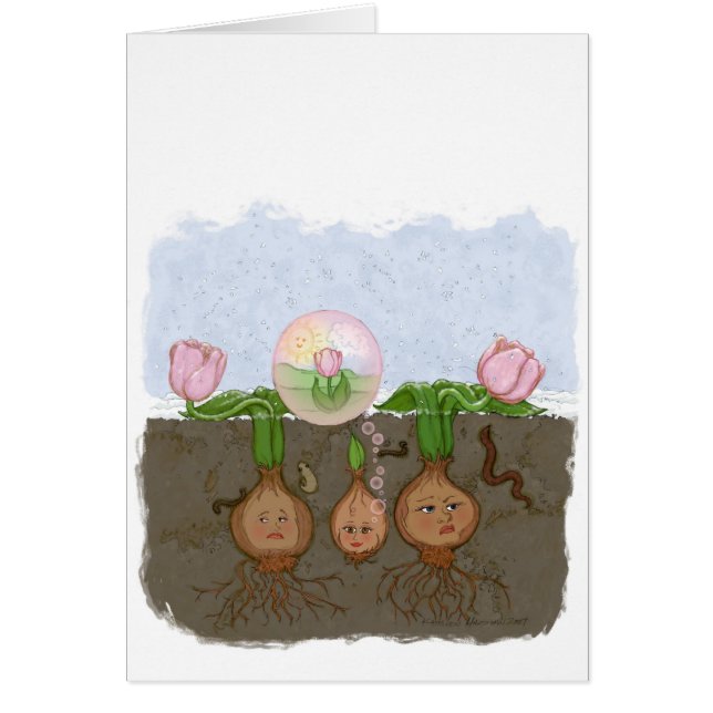 Late Bloomer (Voorkant)