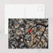 Late herfst briefkaart (Voorkant / Achterkant)