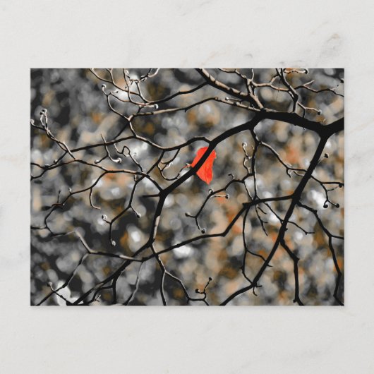 Late herfst briefkaart (Voorkant)
