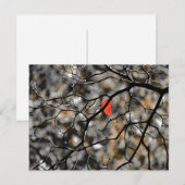 Late herfst briefkaart (Voorkant / Achterkant)